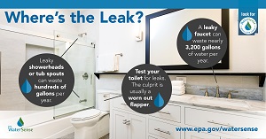 Bathroom Leaks Social Graphic_rectangle